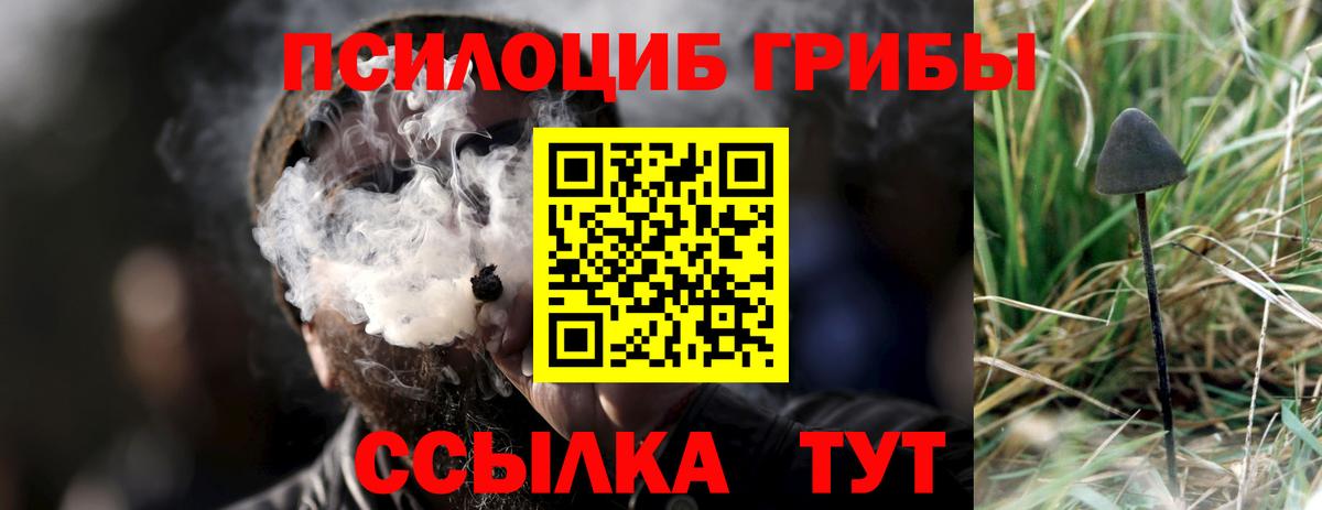 Псилоцибиновые грибы Psilocybe  Вход с VPN  Галлюциногенные грибы ЛСД  Тула 